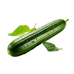 cucumber with leaves. No background