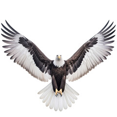 Majestic eagle with open wings on a trasparent background