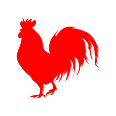 rooster isolated on white
