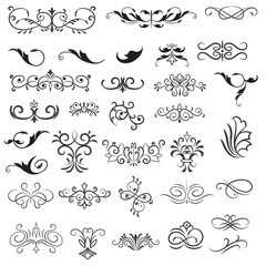 Vector illustration graphic elements for design, Swirl elements decorative illustration