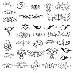 Vector illustration graphic elements for design, Swirl elements decorative illustration