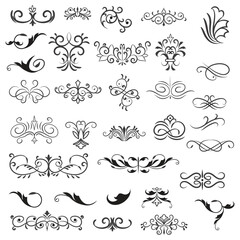 Vector illustration graphic elements for design, Swirl elements decorative illustration