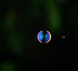 soap bubbles on black background