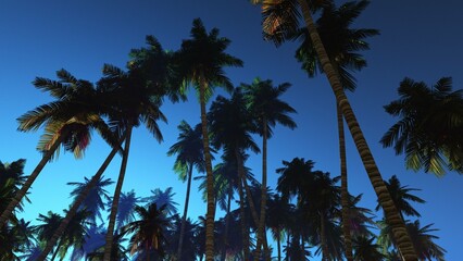 Fototapeta na wymiar silhouettes of palm trees against the sky, tropical trees in the sky, 3d rendering