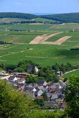 View on hilly Sancerre Chavignol appellation vineyards, Cher department, France, overlooking iver Loire valley, noted for its white Sancerre dry savignon blanc wine.