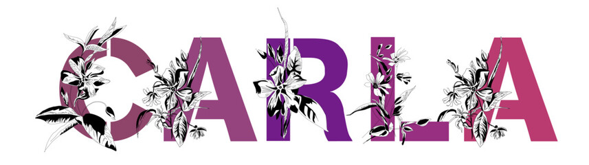 Woman's name Carla. Font composition named CARLA. Decorative floral font. Typography in the style of art nouveau, modern, vintage.