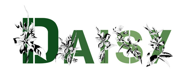 Woman's name Daisy. Font composition named DAISY. Decorative floral font. Typography in the style of art nouveau, modern, vintage.