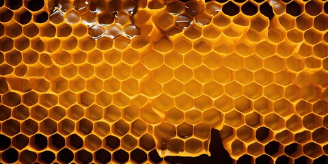 AI Generated. AI Generative. Hexagon honeycomb  texture background nature manvas mockup design wax decoration. Graphic Art