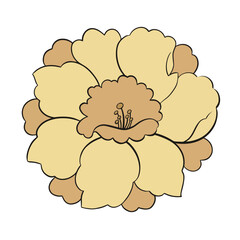 Flower Vector Drawing