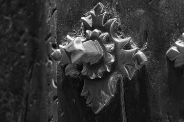 rose petals on a stone