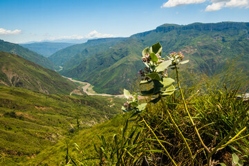 Chicamocha National Park aerial view of the canyon in andes Colombia mountains landscape