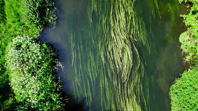 Aerial shot satellite view of River Avon in Wiltshire UK with trees and river weed