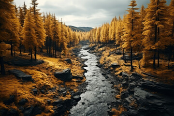 Autumn forest landscape, orange golden foliage, fall wallpaper, AI Generated