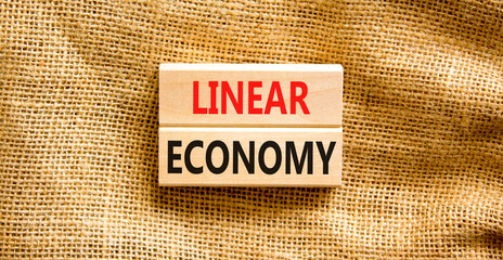 Linear economy symbol. Concept words Linear economy on wooden blocks. Beautiful canvas table canvas...