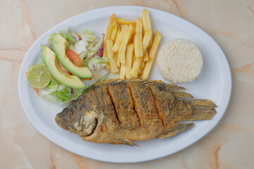 Sea Food