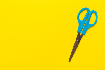 Blue scissors on color backgroung, top view