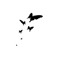 Butterfly splash