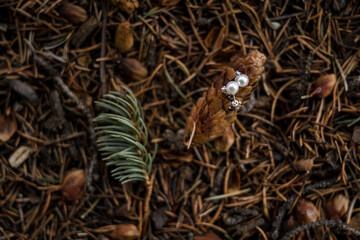 Pearl earrings sitting on pine cone with green pine needles