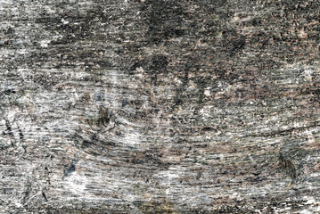 Wood texture close up. Natural wood background with knots