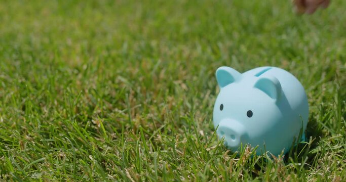A man puts coins in a piggy bank that stands on a green lawn