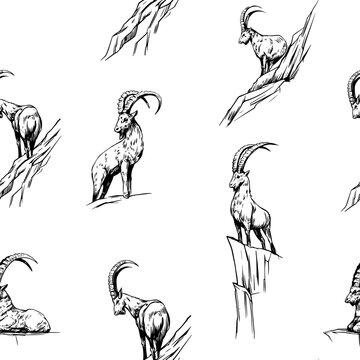 Mountain goat, ibex, capricorn. Seamless pattern. Hand drawn vector sketch illustration