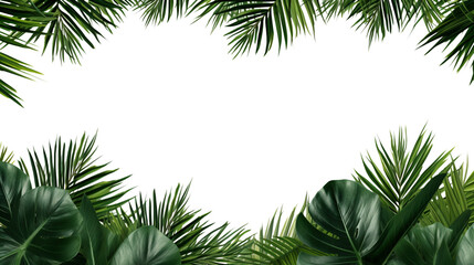 Palm tree branches and its shadow on a white background. Tropical background.. AI Generation
