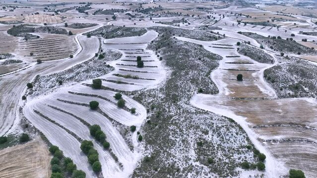 Desert landscape of Sabinas (Juniperus sp.) and crops in Monegrillo, in the Los Monegros region. Aerial view from a drone. Saragossa province. Aragon. Spain. Europe