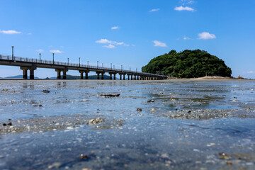 干潮の竹島海岸から臨む竹島