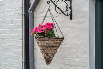 A hanging basket filled with vibrant pink flowers is suspended from an ornate metal bracket against a white brick wall.