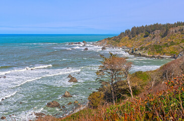 Rocky Bay on the California Coast