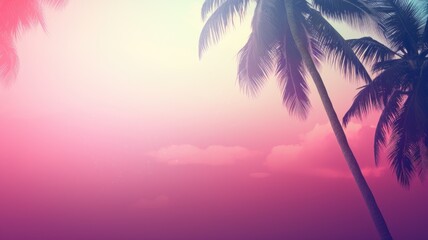 Palm tree, sky. Web banner with copy space. Generative AI