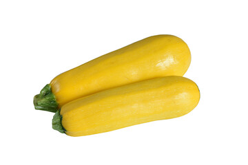 Two yellow zucchini vegetables.