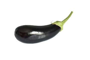 Fresh vegetable eggplant oval shape