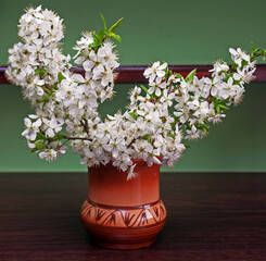 branches with cherry blossoms in a vase, cherry blossoms, close-up.