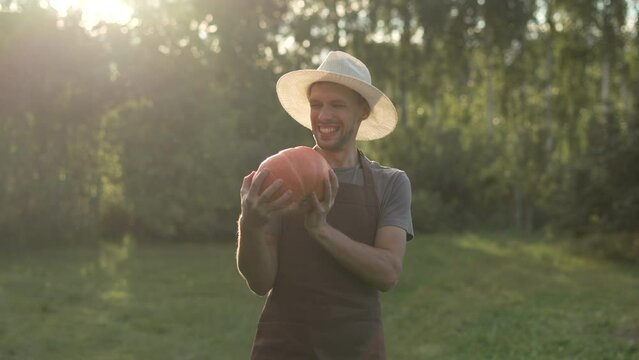 Farmer man in hat holds, tosses and examines fresh pumpkin on his plot. Caucasian man rejoices and smiles at autumn harvest before holiday. Businessman demonstrates organic farm products.