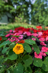 Image from the park of Gjøvik Gård in the town of Gjøvik, Norway.