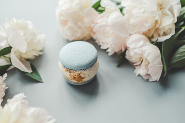 Sweet macarons and white peonies, beautiful photo