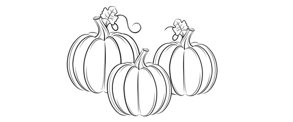pumpkins line art style. halloween and thanksgiving elements vector