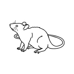 rat vector illustration with concept