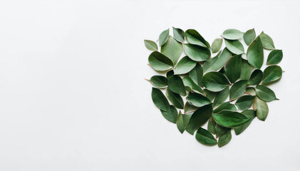 Botanical Heart Made of Green Leaves on White Background, Generative AI