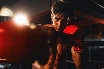 Muay Thai boxer punch his fist in front of camera in ready to fight stance posing at gym with...