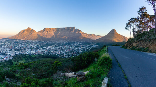 Cape Town City Table Mountain Lions Head Overlooking Landscape