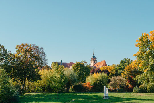 House with nice garden in fall. Flowers in the City Park of Bietigheim-Bissingen, Baden-Wuerttemberg, Germany, Europe. Autumn Park and house, nobody, bush and grenery