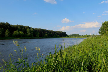 A beautiful view of the peaceful Narew river. Sunny day at the river Narew in polish countryside. River in western Belarus and north-eastern Poland, is a right tributary of the Vistula River. 