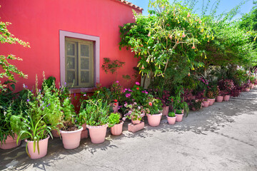 Street in Kefalonia, Greece