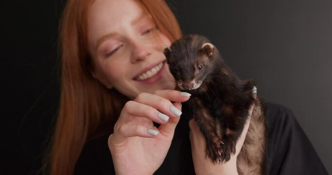 cute ferret licking female owner's fingers, portrait of brown ferret in redhead smiling happy woman's hands, funny pet isolated on black studio background copy space Slow motion