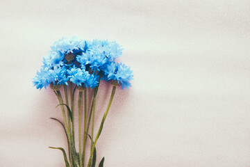 Bouquet of cornflower blue flowers on light pink background with copy space