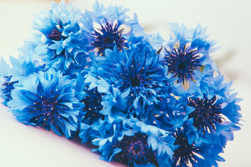Bouquet of Cornflower blue flowers - abstract card with blossom