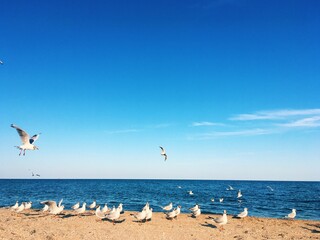 Nice sea view