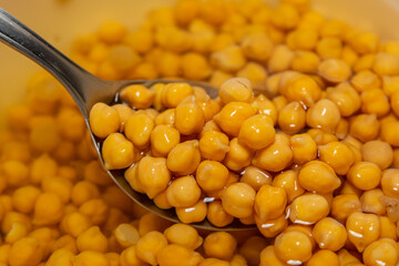 Chickpea or Egyptian pea isolated on white background. (Cicer arietinum)